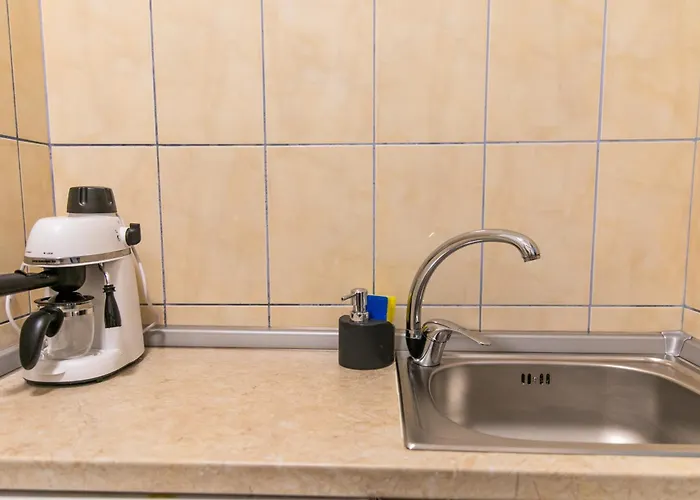 Lägenhet Color Regina Elisabeta 23 *