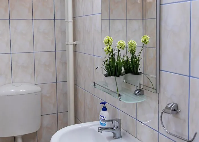 Color Regina Elisabeta 23 Lägenhet *